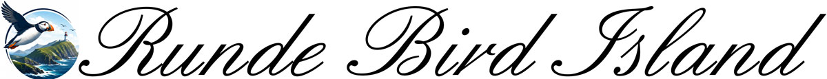 RundeBirdIsland.Guide