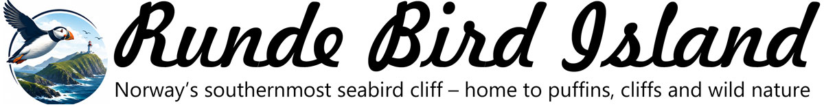 RundeBirdIsland.Guide